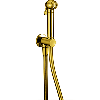 Cisal SC00791024 Shower Гигиенический душ, золото