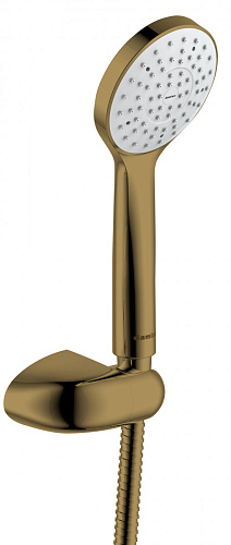 Damixa 914540000 Eclipse Gold Ручной душ с держателем и шлангом, бронза снято с производства